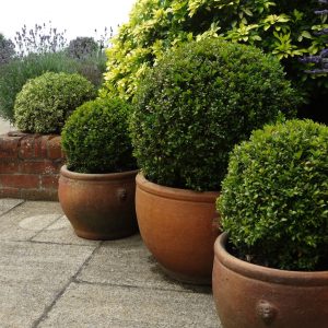 Country Estate Soft Landscaping Cambridgeshire